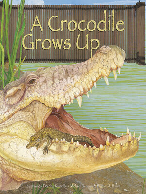 cover image of A Crocodile Grows Up